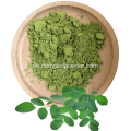 Moringa Blattpulver Moringa Blattextrakt